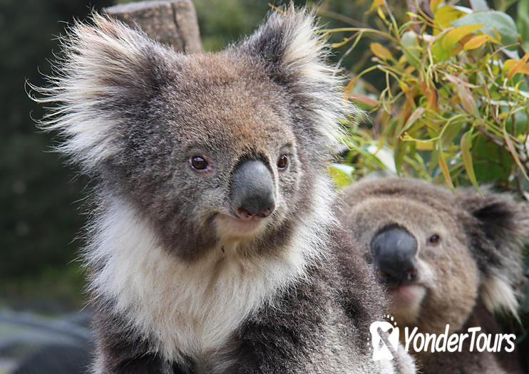 Wing's Wildlife Park