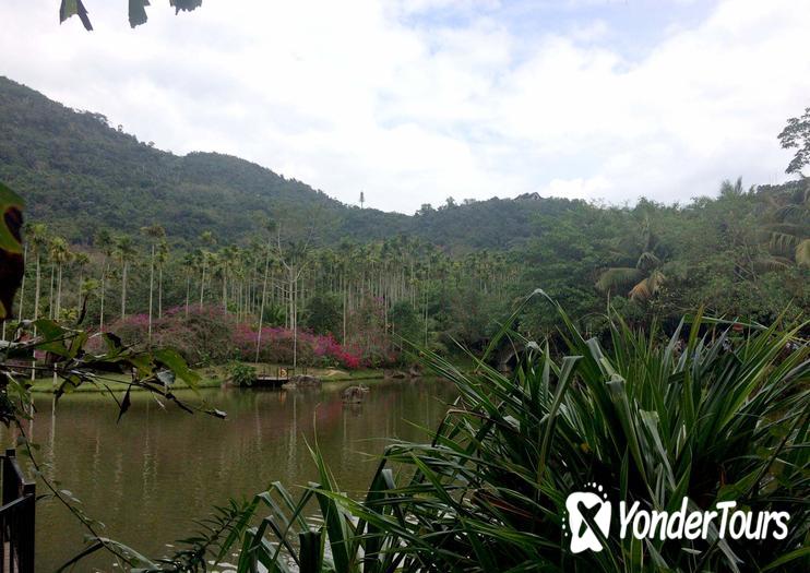 Yanuo Tropical Rain Forest Resort