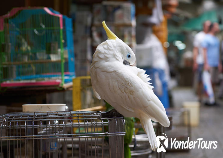 Yuen Po Street Bird Garden