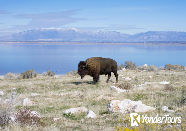 Antelope Island State Park Antelope Island State Park