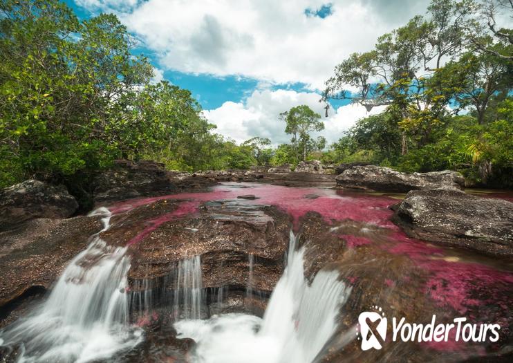 Caño Cristales