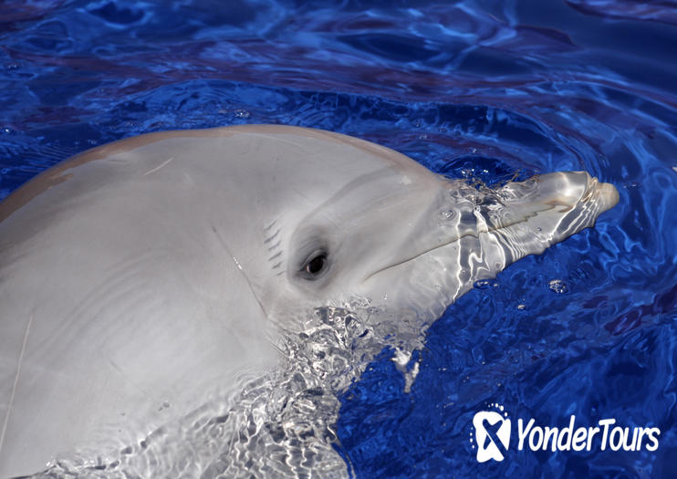 Marineland Mallorca Marineland Mallorca
