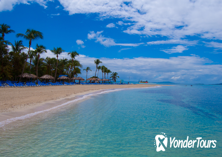 Palomino Island Palomino Island