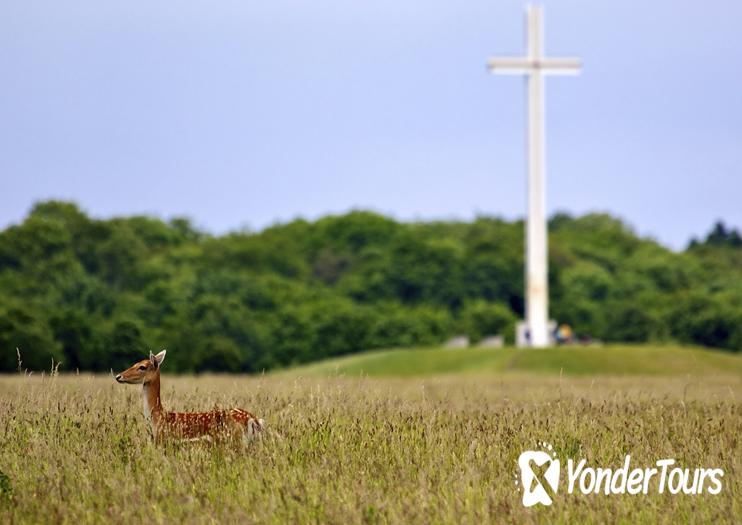 Phoenix Park Phoenix Park