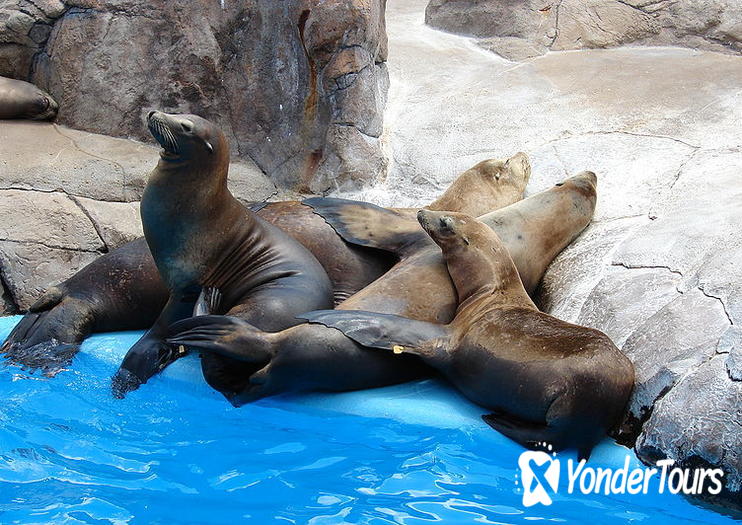 SeaWorld San Antonio SeaWorld San Antonio