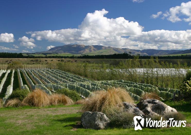 Torlesse Wines Torlesse Wines