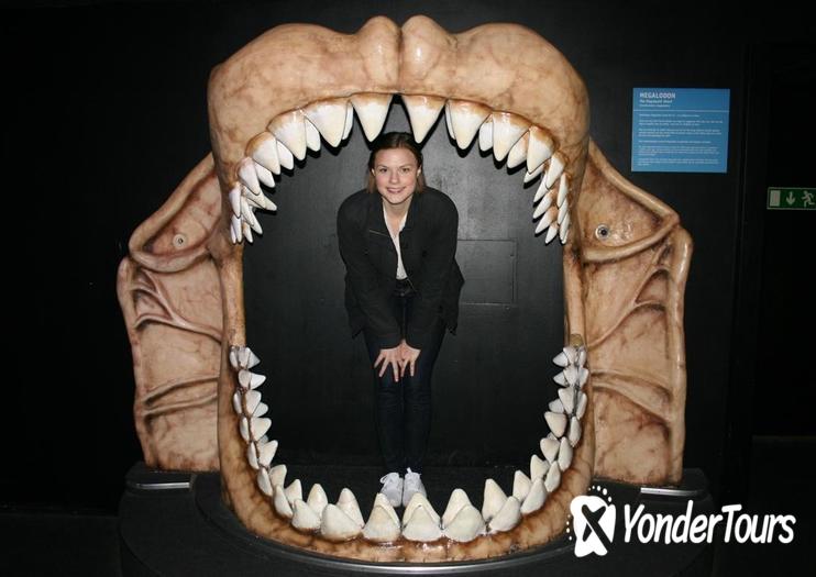 Universeum