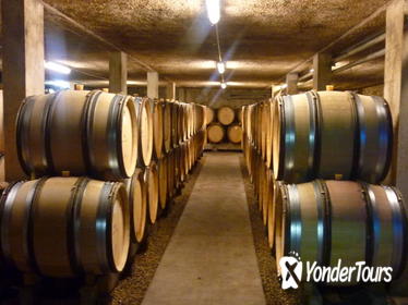 1 Hour Visit and Tasting in Beaune 1 Hour Visit and Tasting in Beaune