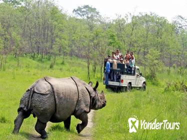 10 Nights 11 Days Kathmandu Chitwan Lumbini Pokhara Dhampus And Nagarkot Tour