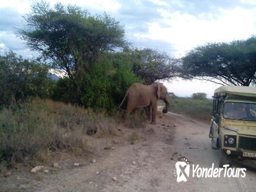 12-Day Kenya and Tanzania Safari from Nairobi 12-Day Kenya and Tanzania Safari from Nairobi