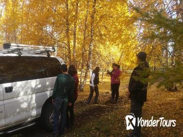 14 day Big Loop Mongolia