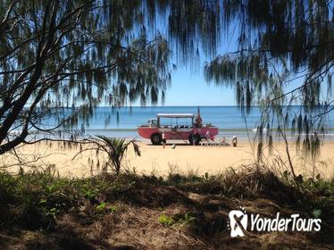 1770 Coastline Tour by LARC Amphibious Vehicle Including Picnic Lunch 1770 Coastline Tour by LARC Amphibious Vehicle Including Picnic Lunch