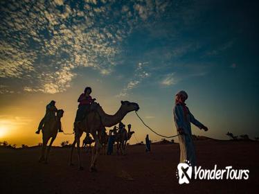 2-Day Zagora Tour from Marrakech Including the Atlas Mountains, Camel Trek and Desert Camp 2-Day Zagora Tour from Marrakech Including the Atlas Mountains, Camel Trek and Desert Camp