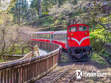 3 Days Sun Moon Lake and Alishan National Scenic Area Tour