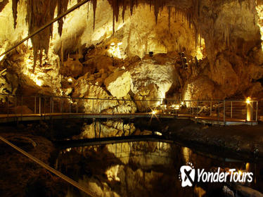 3-Day Margaret River Tour and Valley of the Giants Tree Top Walk from Perth 3-Day Margaret River Tour and Valley of the Giants Tree Top Walk from Perth