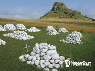 7-Day KwaZulu-Natal Uncovered Tour from Durban