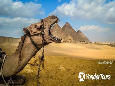 8-Day Cairo and Nile Cruise tour 4 stars 8-Day Cairo and Nile Cruise tour 4 stars
