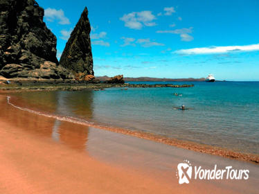 8-Day Galapagos Island Hopping Tour: Land Tour Including 4 Islands 8-Day Galapagos Island Hopping Tour: Land Tour Including 4 Islands