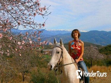 Alanya 3 Hour Horse Back Riding Alanya 3 Hour Horse Back Riding