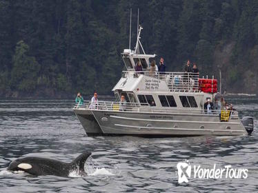 Anacortes Whale Watching