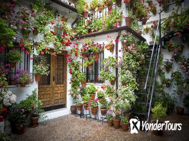 Andalucia & Madrid, 7 days from Costa del Sol