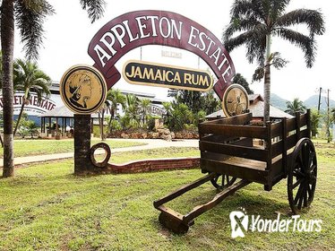 Appleton Estate Rum Tour and Tasting from Ocho Rios