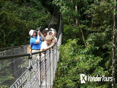 Arenal Hanging Bridges in Mistico Park Arenal Hanging Bridges in Mistico Park