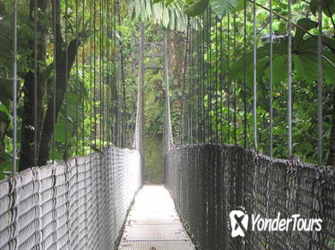 Arenal Hanging Bridges Nature Tour Arenal Hanging Bridges Nature Tour