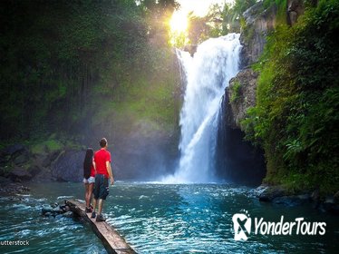 Bali Junggle Swing Combination With Tegenungan Waterfall and Luwak Coffee Bali Junggle Swing Combination With Tegenungan Waterfall and Luwak Coffee