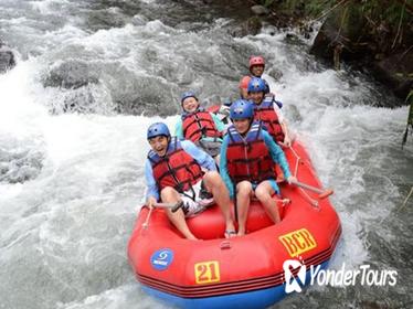 Bali White Water River Rafting