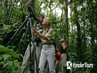 Birding tour from San Jos e Birding tour from San Jos e