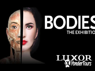 Bodies The Exhibition at the Luxor Hotel and Casino Bodies The Exhibition at the Luxor Hotel and Casino
