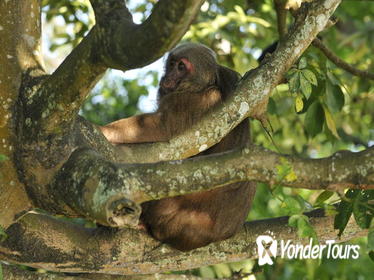 Catemaco and Los Tuxtlas Natural Adventure Day Trip Catemaco and Los Tuxtlas Natural Adventure Day Trip