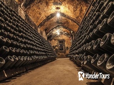 Cavas Freixenet Wine Tour from Mexico City