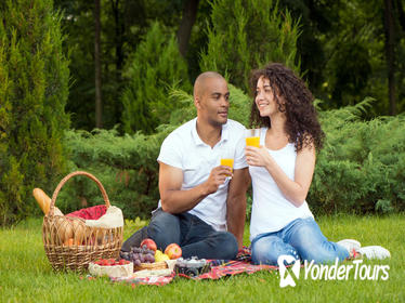 Central Park Picnic with Full Day Bike Rental