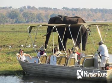 Chobe Day Trip From Victoria Falls Chobe Day Trip From Victoria Falls