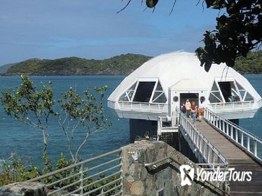 Coral World Ocean Park with Semi-Submarine Tour and Round-Trip Transport Coral World Ocean Park with Semi-Submarine Tour and Round-Trip Transport