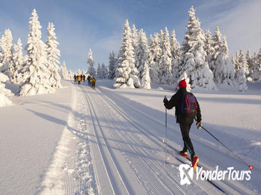 Cross-Country Ski Rental in Lake Tahoe Cross-Country Ski Rental in Lake Tahoe
