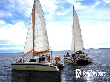 Curacao Half-Day Snorkel and Luncheon Sail