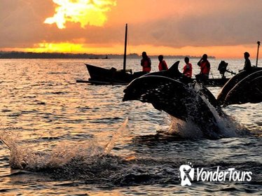 Dolphin Watching, Waterfalls and Ulundanu Temple Tour in Bali Dolphin Watching, Waterfalls and Ulundanu Temple Tour in Bali