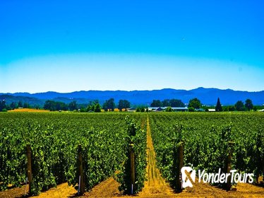 El Dorado Wine Country Tour from South Lake Tahoe El Dorado Wine Country Tour from South Lake Tahoe