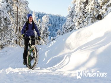 Electric Fat Bike Tour Electric Fat Bike Tour
