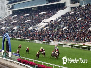 Enjoy the horse races as a VIP guest at the Shatin Racetrack! Enjoy the horse races as a VIP guest at the Shatin Racetrack!