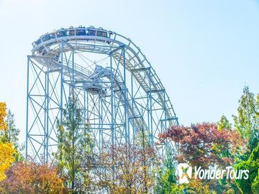 Everland Theme Park Admission Ticket with Transfer from Seoul