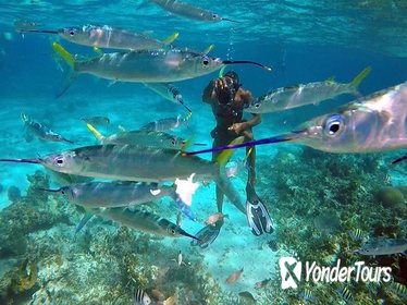 Falmouth Shore Excursion: Doctor's Cave Beach and Snorkeling Private Tour