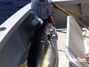 Fishing for Marlin and Tuna Fishing for Marlin and Tuna