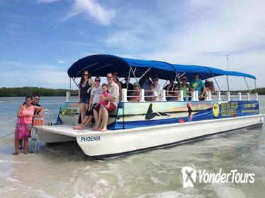 Fort Myers Coastal Sealife Dolphin and Shelling Cruise