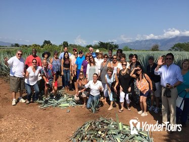 Full-Day Tequila Tour from Guadalajara Full-Day Tequila Tour from Guadalajara