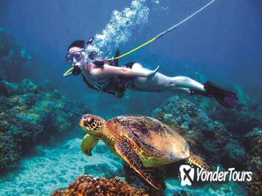 Green Island Day Trip from Cairns Including SNUBA or SNUBA Doo Experience