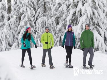 Grouse Mountain Snowshoe Rental & Mountain Admission